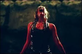 Pour beaucoup, l'un des meilleurs films d'pouvante rcents :