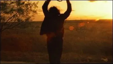 Issu d'un film souvent copi, jamais gal, cette photo provient de la mythique scne finale de :