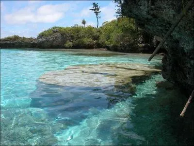 Sur quoi est fonde l'conomie de la Nouvelle-Caldonie ?