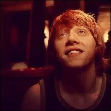 Ron ne pense qu'à ça ! Manifestement ! Grâce à son talent au quidditch, il les tombe toutes : Lavande, Romilda, mais il a aussi lourdement dragué un professeur, souvenez-vous, qui donc ?