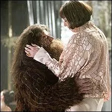 Le "Hagrid" est poilu lui aussi, îl y avait de quoi s'méfier, puisqu'on lie le poil à la virilité ! Que va-t-il donc entreprendre de très "culotté" dans une saga pour enfants avec la belle et (très) grande Olympe ?