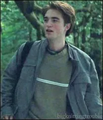 Quand la belle bête sexy de Cédric Diggory tombe de son arbre comme une poire bien mûre, pour bien faire admirer son agilité à tout le monde, qui échange un regard concupiscent prouvant l'effet réjouissant qu'il a produit ?