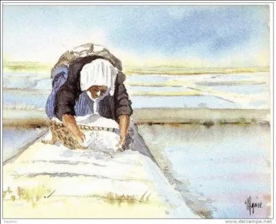 La quichenotte : qu'est-ce que c'est et d'où ça vient ?