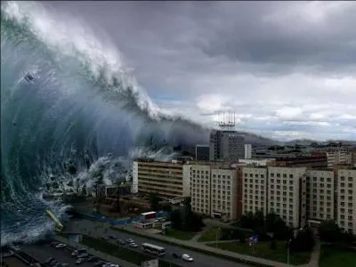 Que signifie littralement le mot japonais  tsunami  ?