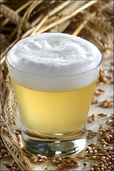 Quelle plante utilise-t-on en forte proportion pour qu'une bire soit blanche ?