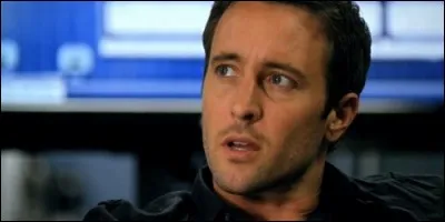 Quelle série raconte l'histoire du capitaine de corvette Steve McGarrett, un SEAL qui va enquêter sur l'assassinat de son père ?