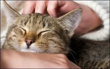 Que fais-je lorsque je suis heureux ?