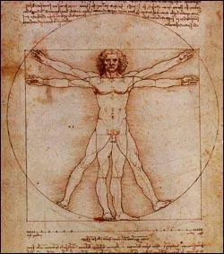 Lequel de ces faits est vrai, concernant l'tude des proportions du corps humain selon Vitruve (ou Homme vitruvien) par Lonard de Vinci ?
