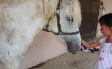 Quiz Galop 1