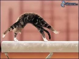 Quel agrs est sur cette photo ?