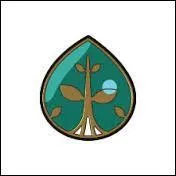 Comment s'appelle ce badge ?