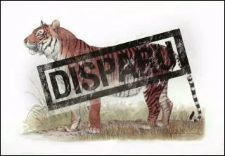 En quelle anne le tigre de Java s'est-il teint ?