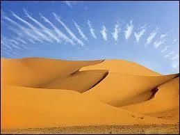 Comment s'appelle le dsert d'Algrie ?