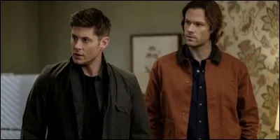 Dans "Supernatural", Sam et Dean sont :
