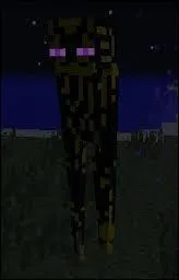 Quel est le point faible de l'enderman ?