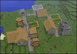 Quel mob protge les villages PNJ ?