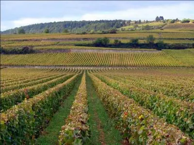 Quel dpartement ne touche pas  celui de la Cte-d'Or ?