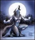 Le loup-garou : la lgende raconte que certains hommes se transformaient en loup et sortaient ... , surtout au moment de la pleine lune.