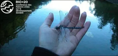 Si vous avez trouv la rponse prcdente, vous allez trouver la rponse  l'image !