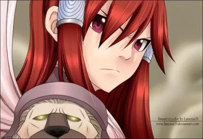 Combien possde-t-elle d'armures ?