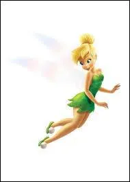 Quel est le nom de la gardienne de poussire de fe/pirate ?