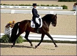 Le dressage est une discipline olympique.