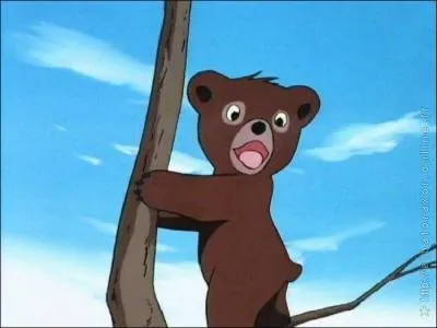 Qui est ce charmant ourson ?