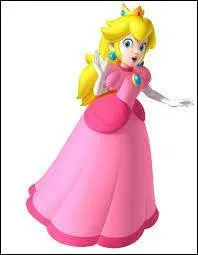 Quel est ce personnage qui accompagne Mario sur l'le afin de prendre des vacances ?