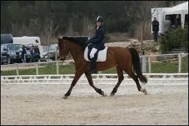 Parmi ces trois choix lequel n'est pas une aide naturelle ?