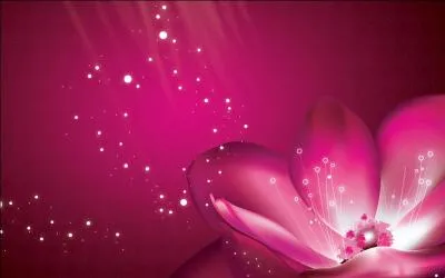 Qui est l'ennemi du lapin de la premire question ?