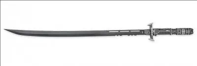 A qui appartient cette arme ?