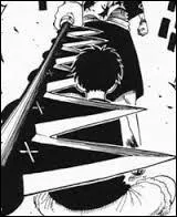 A qui appartient cette arme ?