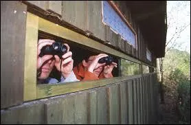 Si vous vous promenez dans la rserve du Teich, au bord du bassin d'Arcachon, vous croiserez essentiellement :