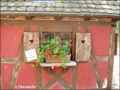 A Hunawihr, en Alsace, vous pourrez visiter un centre de rintroduction des :