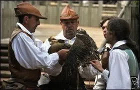 Quel clbre parc d'attraction prsente une importante fauconnerie ?