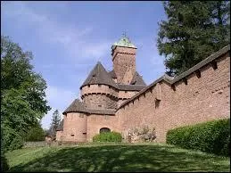 Si vous vous rendez en Alsace, pas trs loin du chteau du Haut-Koenigsbourg, vous serez au contact direct :