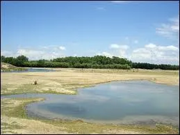 Que pourrez-vous visiter  Sigean, dans l'Aude ?