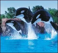 Quel parc est le plus grand parc marin d'Europe ?