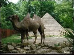 Ce zoo, l'un des plus importants de France, est situ en Lorraine :