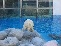 Quel est ce clbre zoo situ non loin de Royan ?