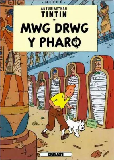 Bon, �videmment, avec l'image vous pouvez traduire, mais c'est une langue, �a ?