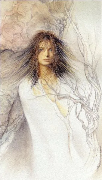 Que serait un pays sans fes ?  Las Xanas  sont toujours trs belles, avec de longs cheveux et la peau trs blanche. Elles seraient artistes (les peintures rupestres) et btisseuses (dolmens et menhirs), mais nanmoins redoutes. Pourquoi ?