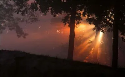 Il s'agit l aussi de trouver le titre d'un film de science-fiction en relation avec la photo !