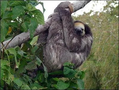 Vous tes indulgents, si bien qu'arrivs  ce point, vous direz : Ce n'est qu'un ------- si Lotoise fait la faignasse aujourd'hui, c'est la veille du week-end, elle est fatigue de contempler le nant assise sur son sant !