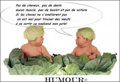 Quand on dit familièrement de quelqu'un qu'il est mal parti, on peut remplacer par une autre expression encore plus familière. Laquelle ?