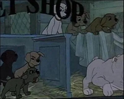Quel(s) personnage(s) peut-on voir dans cette animalerie dans  Les 101 Dalmatiens  ?
