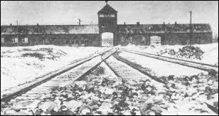 Qui d'autres que les Juifs et les Tziganes ont t extermins ?