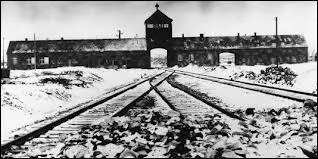 Qu'est-ce que la  Shoah  ?