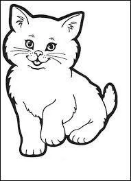 Quel est ce mot en anglais ?