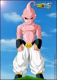 Quel est l'ultime monstre de la srie  Dragon Ball Z  ? 